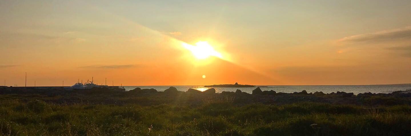 Michelle Dorgan banner