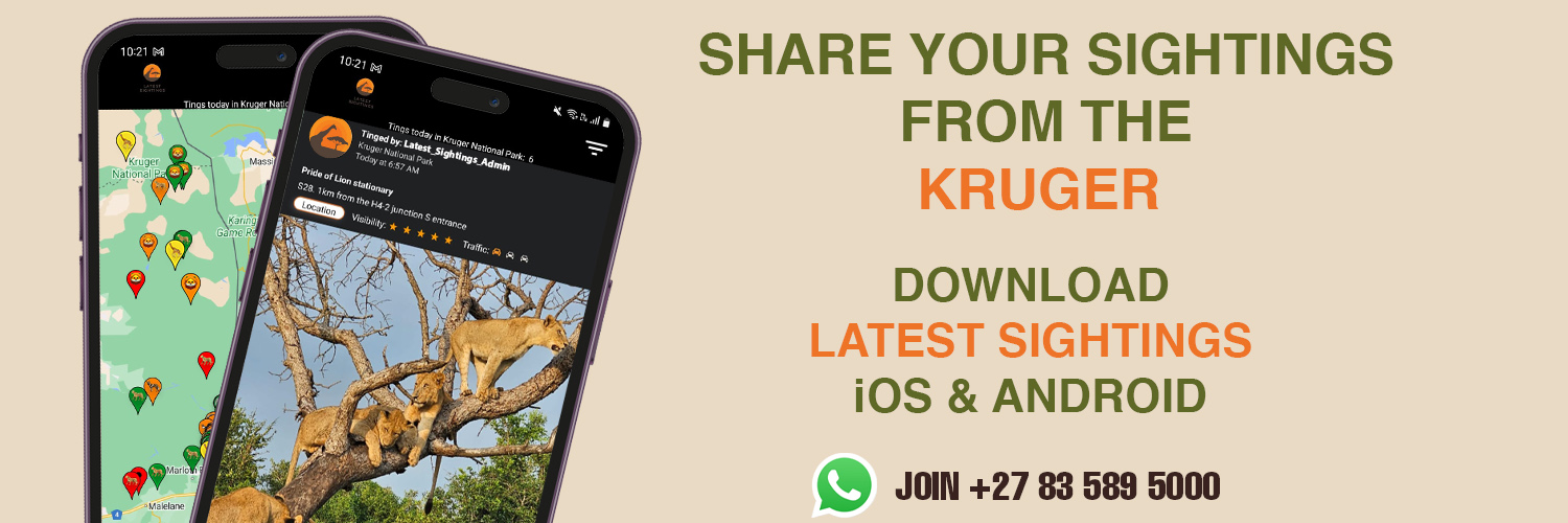 Kruger Sightings's banner