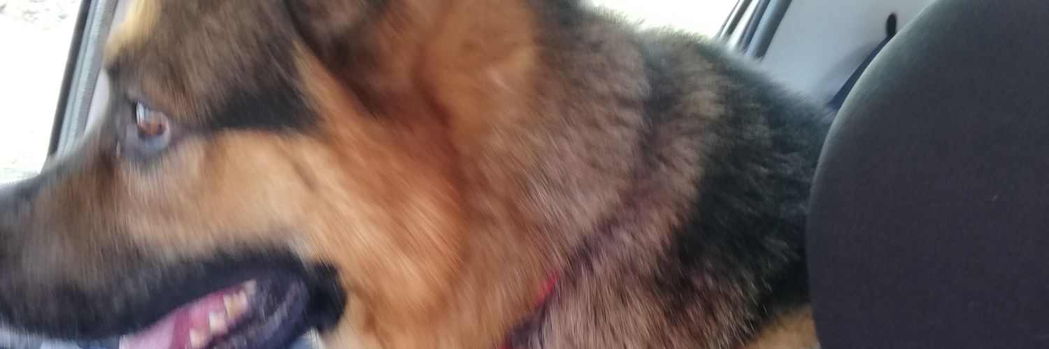 elo615's profile banner image