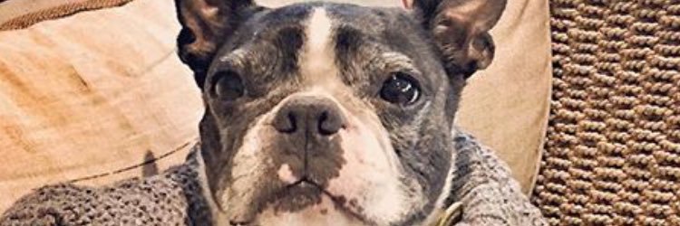 crums6's profile banner image
