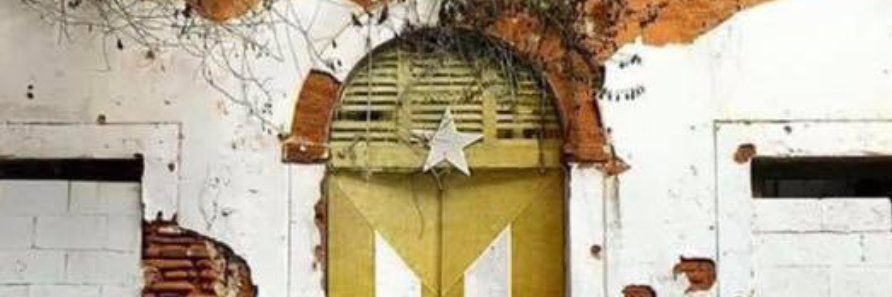 claraAlucio's profile banner image