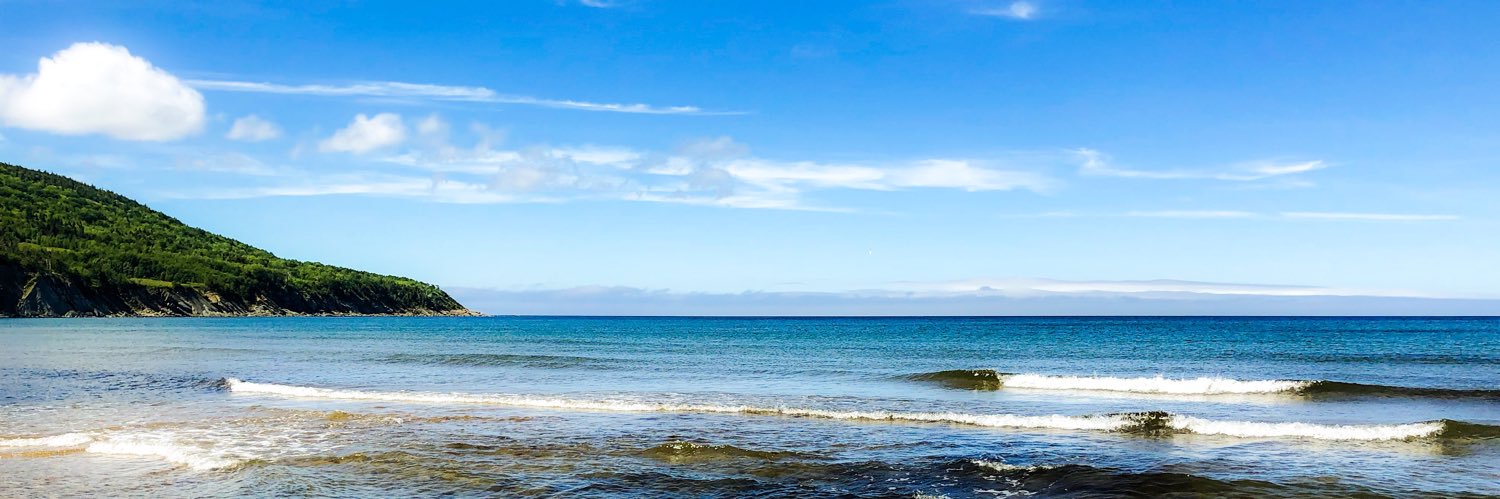 Geoff Burgoyne banner