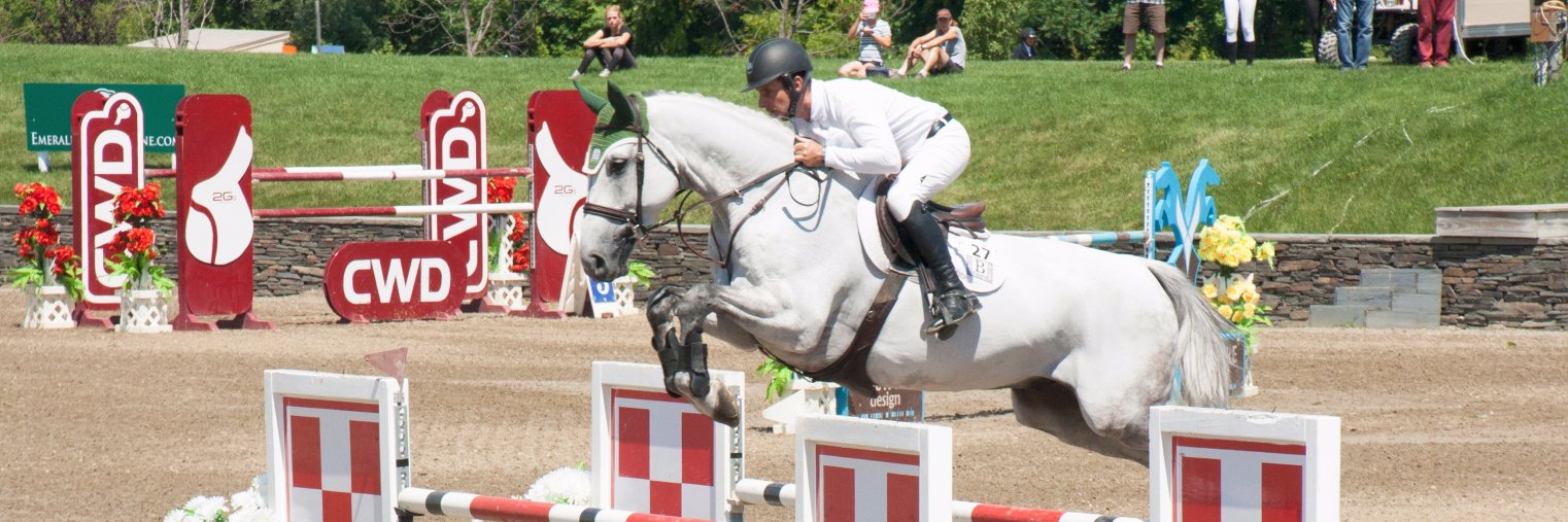 Éce Equestrian banner