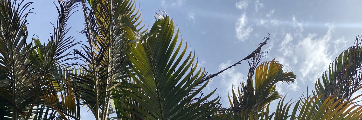 dacarvalho's profile banner image