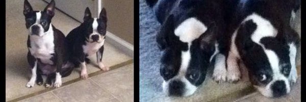 murphy_tara Profile Banner