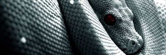paurubiof's profile banner image