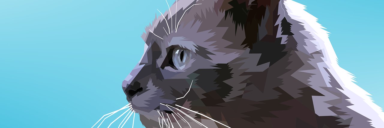 popfunfr's profile banner image