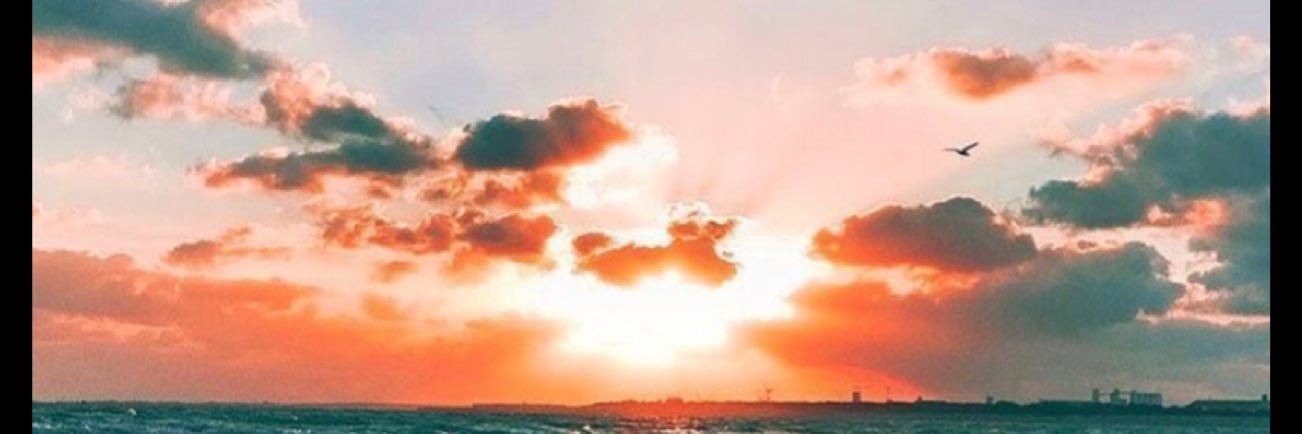 madie987's profile banner image