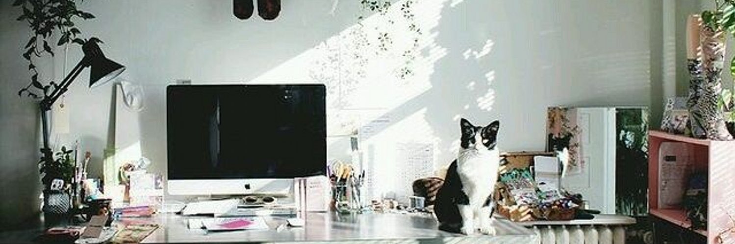 Auxi6_'s profile banner image
