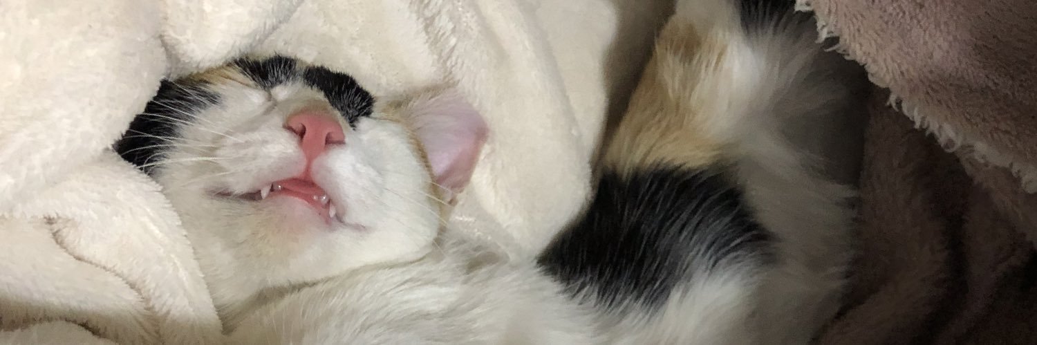Sabrinabocchi2's profile banner image