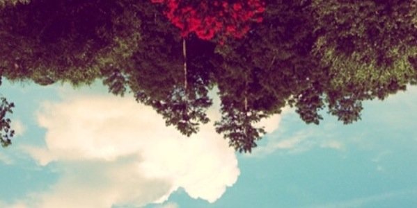 aNdyagirlKells's profile banner image