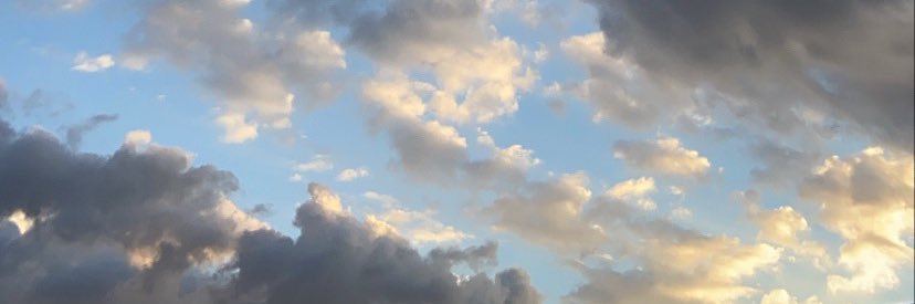 noegu2's profile banner image