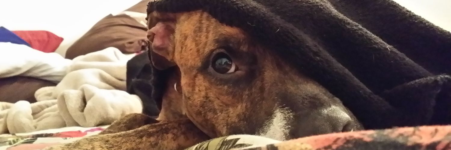 NoPolypsTour2025📸 banner