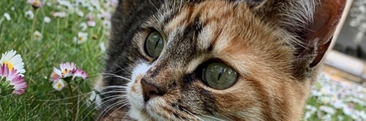 elinablumb's profile banner image