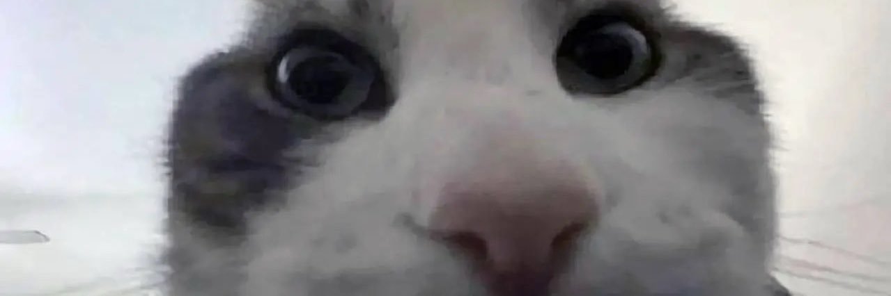 houqai's profile banner image