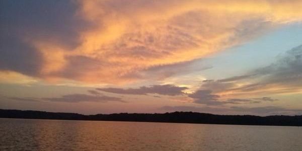 Carol Turner Mudd banner