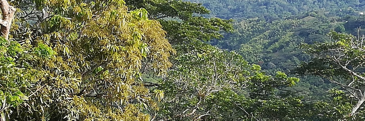 salennon's profile banner image
