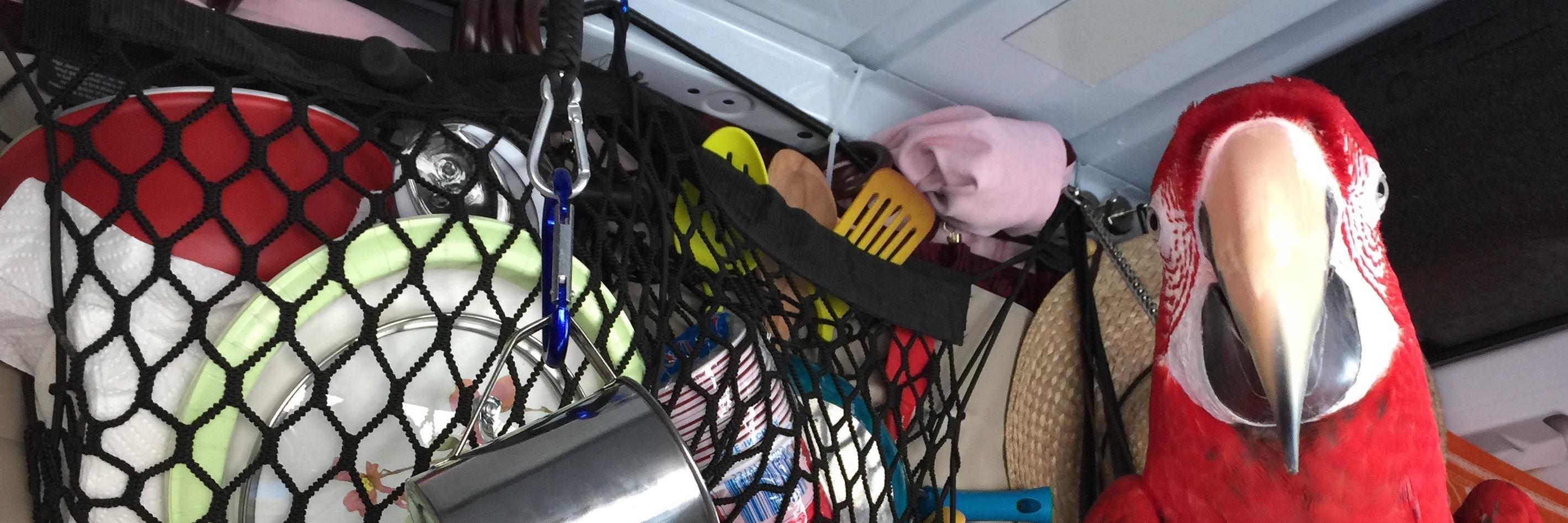 AdventureParrot's profile banner image