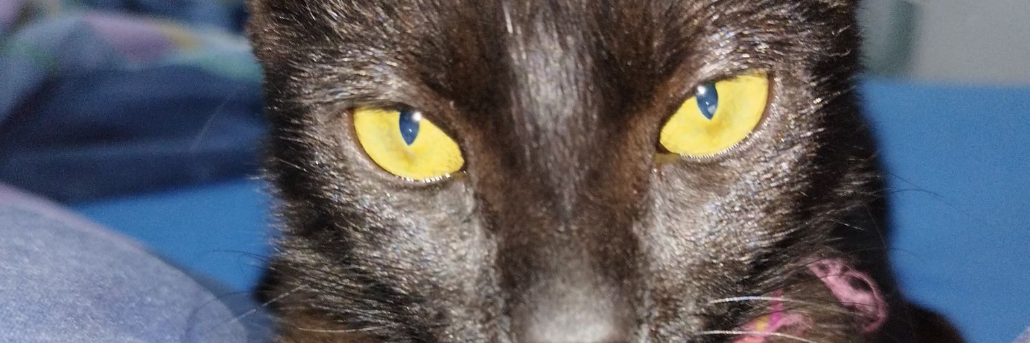 g_lvok's profile banner image
