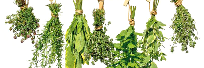RinconDeSelva's profile banner image