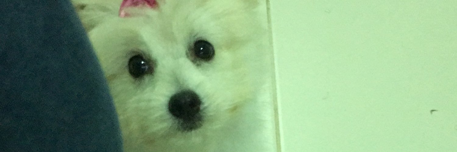 brunosaj's profile banner image