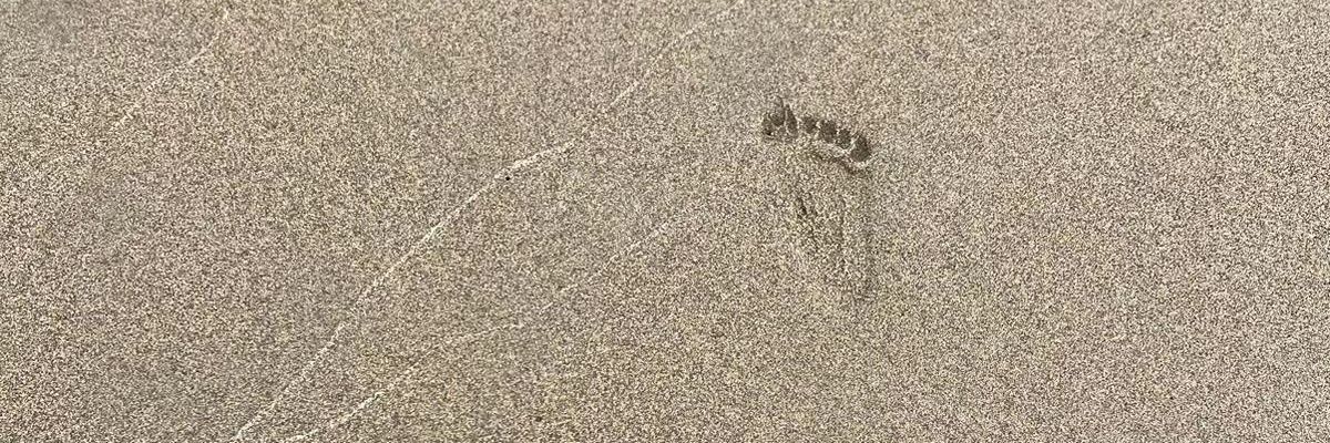 strdrysc's profile banner image
