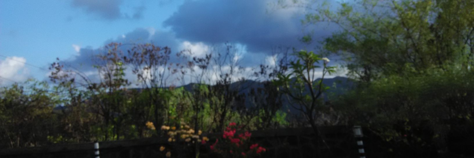 Ankit 🇮🇳 banner