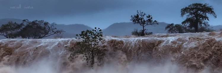 بدر الثميري banner