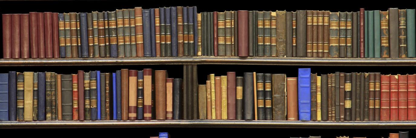 ReadingWithBird's profile banner image