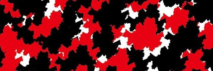 FIC_NCT banner