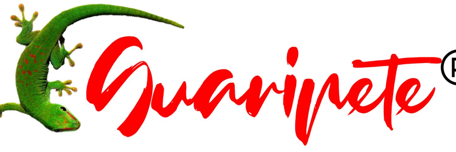 guaripetepro's profile banner image