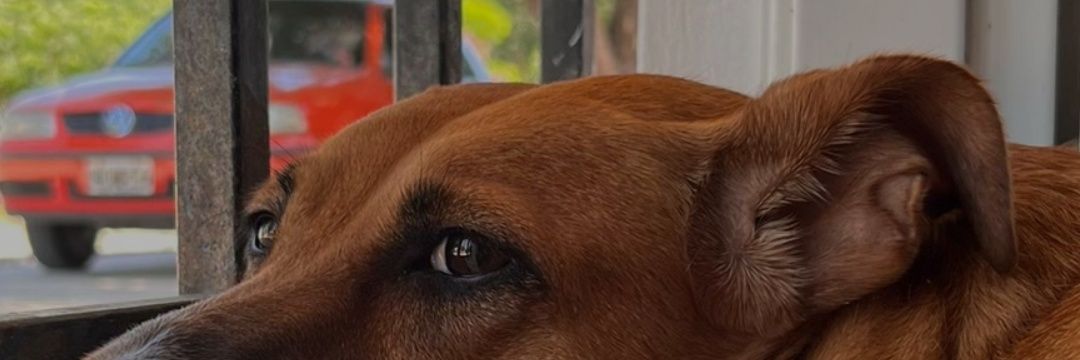 CataniaAlvarez's profile banner image