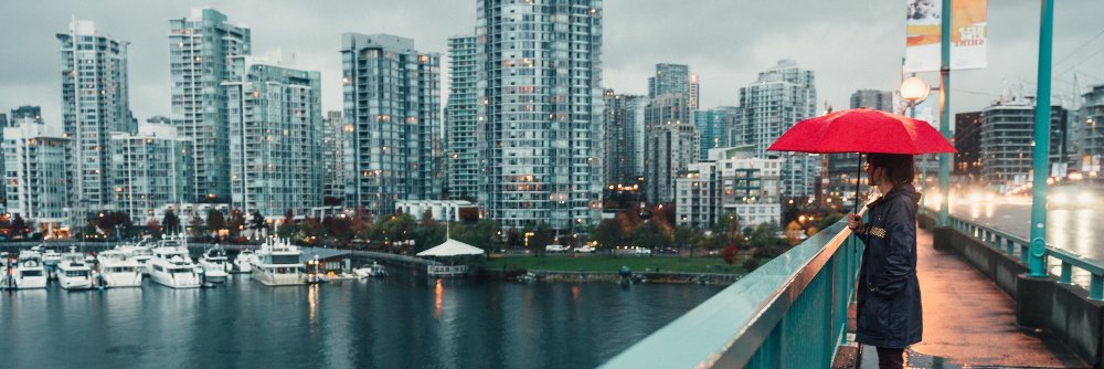 Hedgehog Umbrella banner