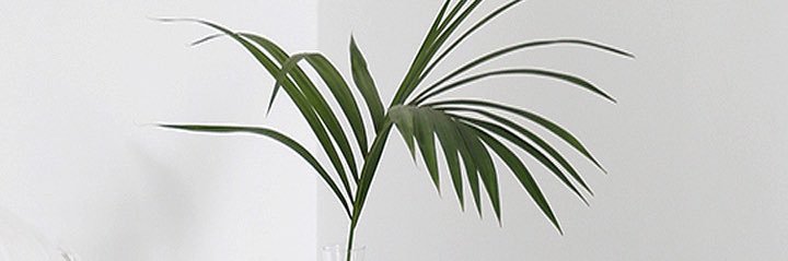 Rzziwa's profile banner image