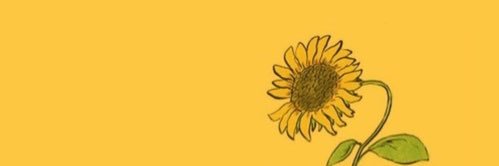 samaanthaa__'s profile banner image