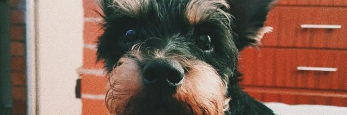 AlejoPardoL's profile banner image
