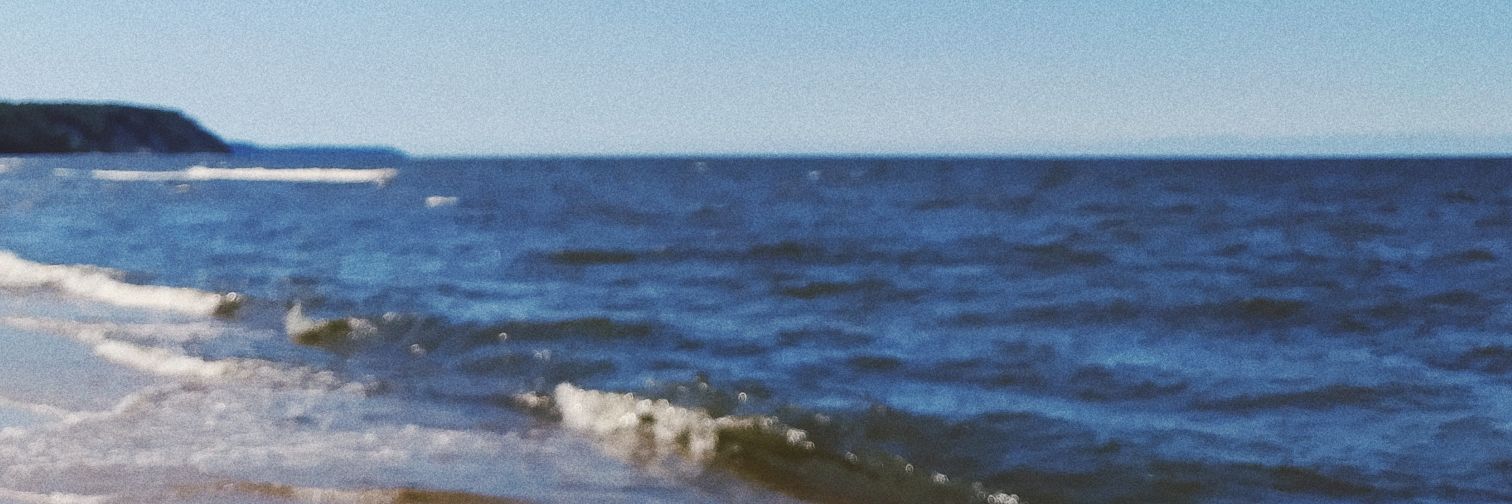 moniddi's profile banner image