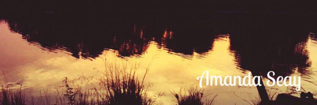mandiseay's profile banner image
