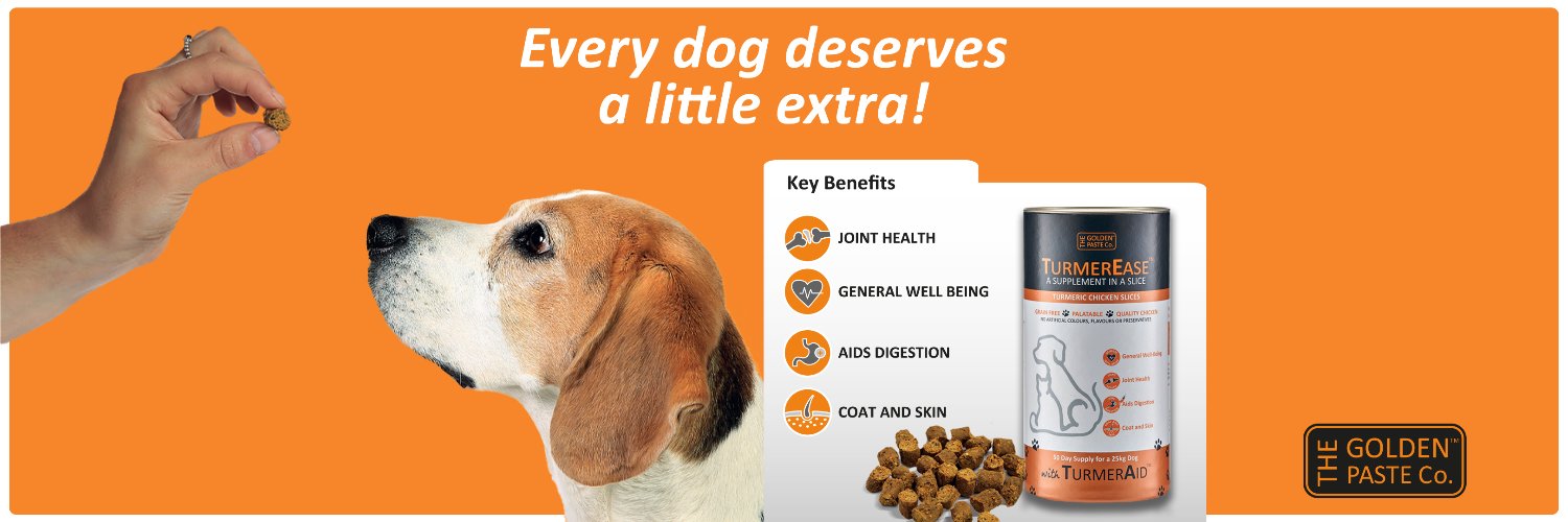 The GoldenPasteCompany banner