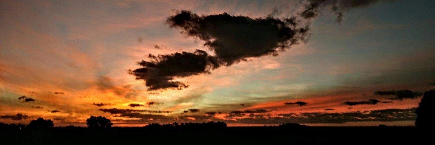 CDelponte's profile banner image