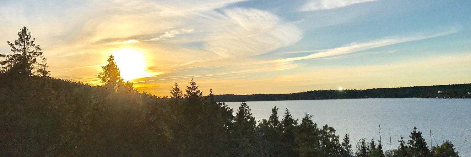 John A. Maasik banner