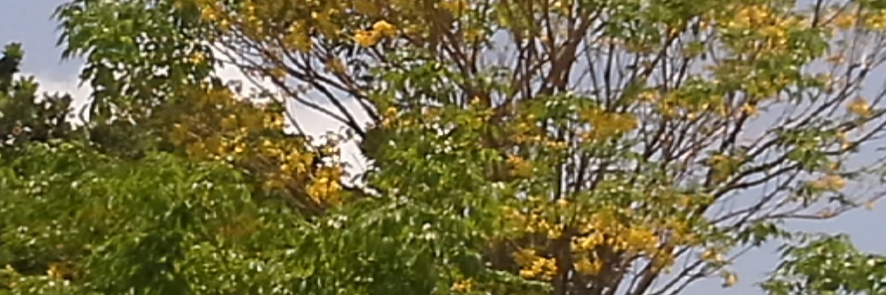 ADecerega's profile banner image