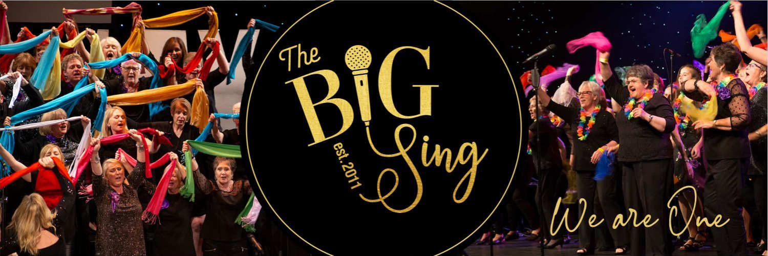 BIGSing1's profile banner image