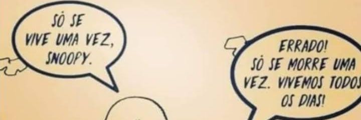 nando_393's profile banner image