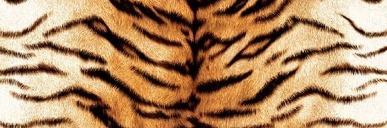 linzee_mae's profile banner image
