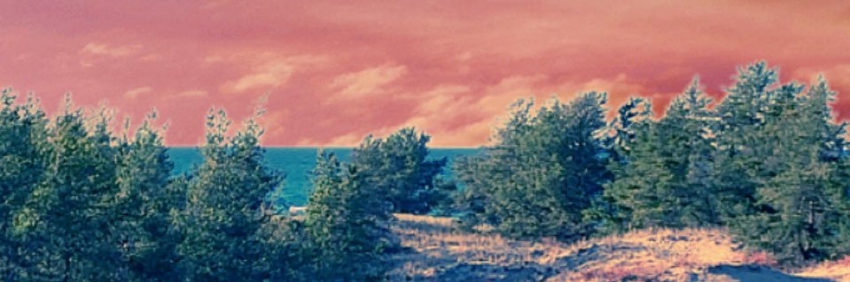 nickbrewer64's profile banner image