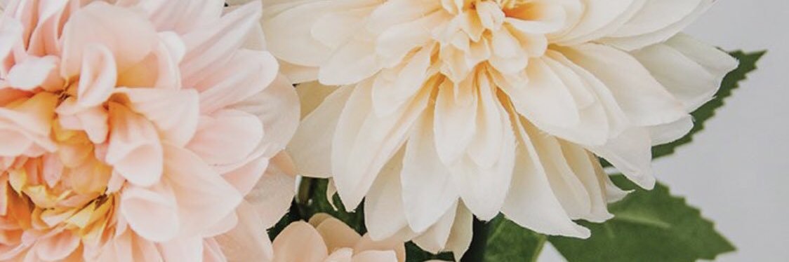 Jessicaa_lynnnn's profile banner image