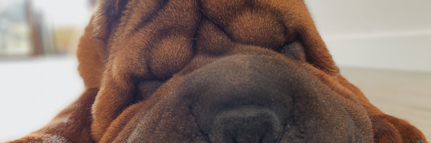 XiscaOliverr's profile banner image