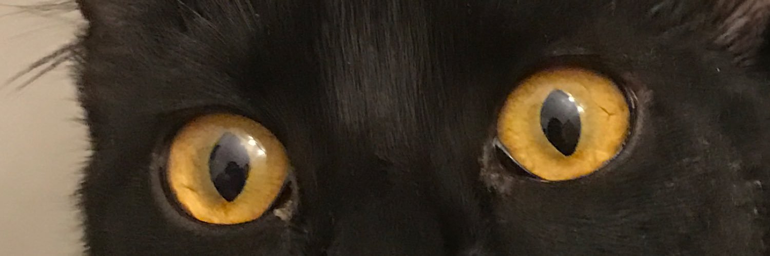 stripesgrl3's profile banner image