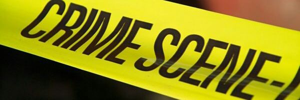 FestusGreen #PeterObi banner